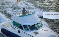 Essai : Excite Cat 810